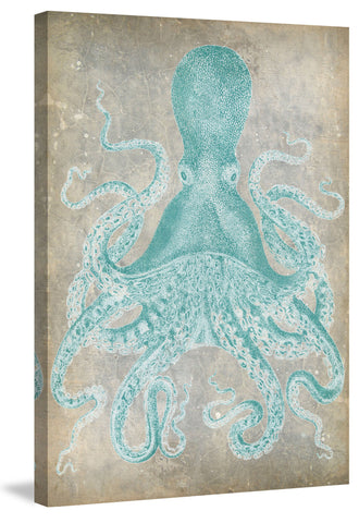 Spa Octopus I