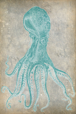 Spa Octopus II