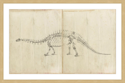 Dinosaur Study I