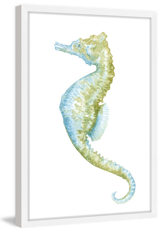 Watercolor Seahorse II