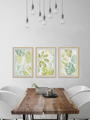 Morning Whisper Triptych