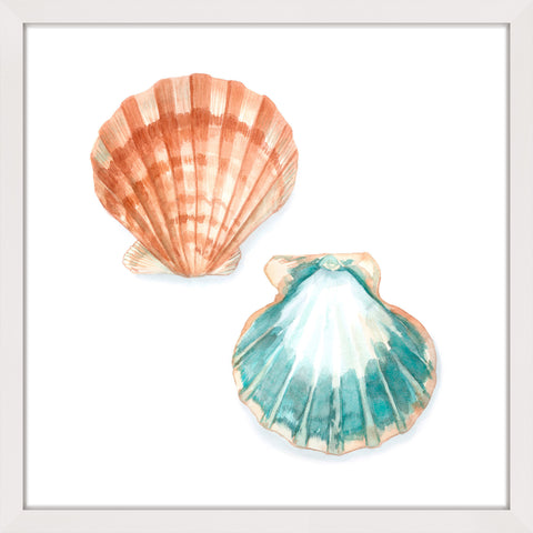 Watercolor Shells I