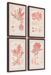 Antique Coral Seaweed Quadriptych