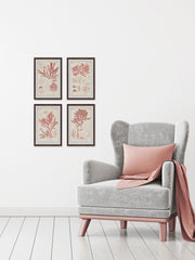 Antique Coral Seaweed Quadriptych