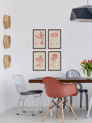 Antique Coral Seaweed Quadriptych