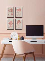 Antique Coral Seaweed Quadriptych