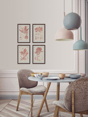 Antique Coral Seaweed Quadriptych