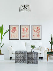 Antique Coral Seaweed II Triptych