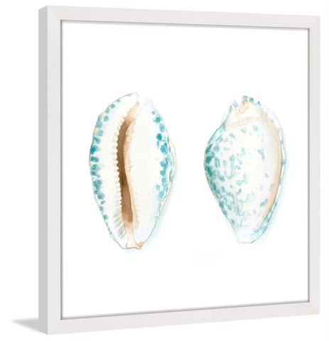 Watercolor Shells VI