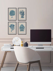 Sea Coral Study Quadriptych