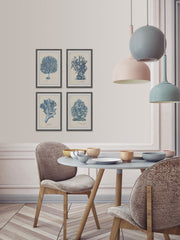 Sea Coral Study Quadriptych