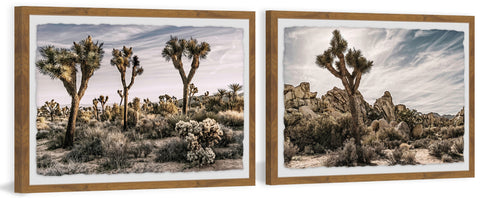 Views of Joshua Tree Diptych