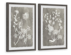 Herbarium Study Diptych