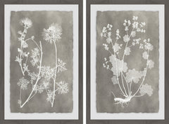 Herbarium Study Diptych