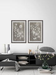 Herbarium Study Diptych