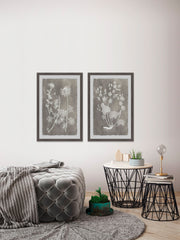 Herbarium Study Diptych