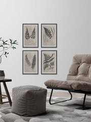 Vintage Fern Study III Quadriptych