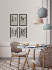 Vintage Fern Study III Quadriptych