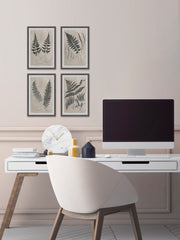 Vintage Fern Study III Quadriptych