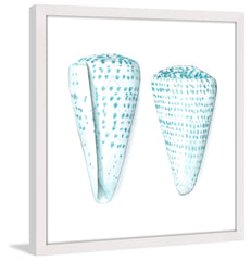 Watercolor Shells VIII