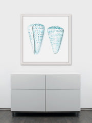 Watercolor Shells VIII