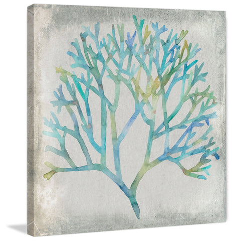 Watercolor Coral II
