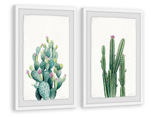 Cactus Bloom V Diptych