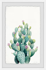 Desert Blooms VI
