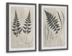 Vintage Fern Study Diptych