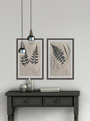 Vintage Fern Study Diptych