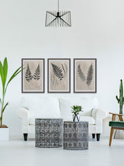 Vintage Fern Study II Triptych