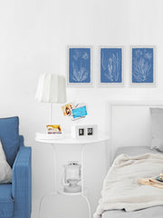Seaweed Cyanotype Triptych