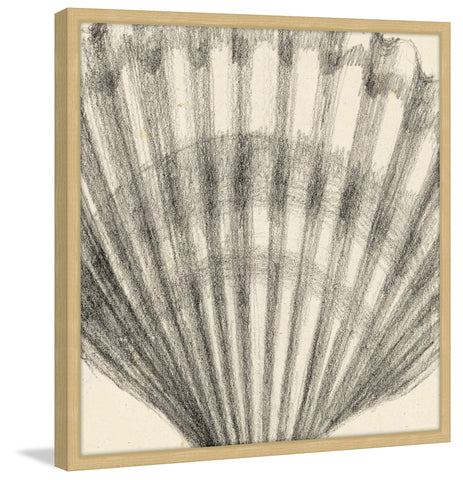 Shell Study III