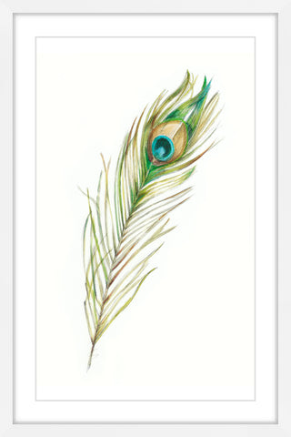 Feather Eye