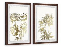 Desert Blooms II Diptych