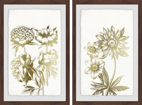 Desert Blooms II Diptych