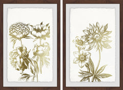 Desert Blooms II Diptych