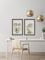 Desert Blooms II Diptych