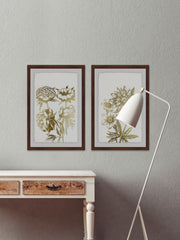 Desert Blooms II Diptych