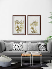 Desert Blooms II Diptych