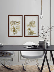 Desert Blooms II Diptych