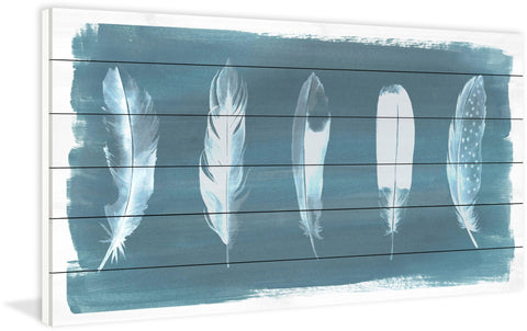 Feathers on Dusty Teal I