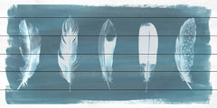 Feathers on Dusty Teal I