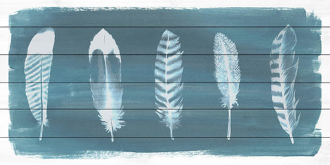 Feathers on Dusty Teal II