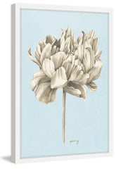 Botanical Study IV