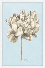Botanical Study IV