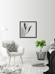 Blush Flower Splash IX