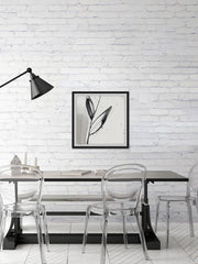 Blush Flower Splash IX