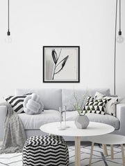 Blush Flower Splash IX