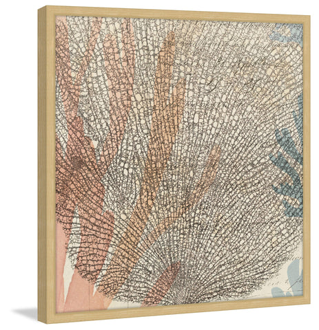 Sea Ephemera I